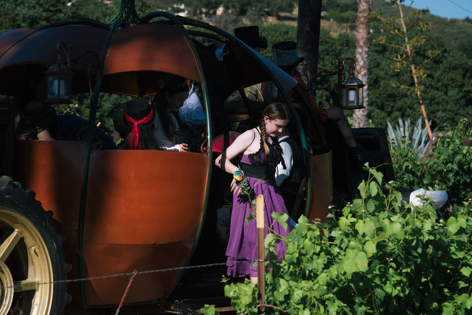 The Punkin Project - Atmosphere