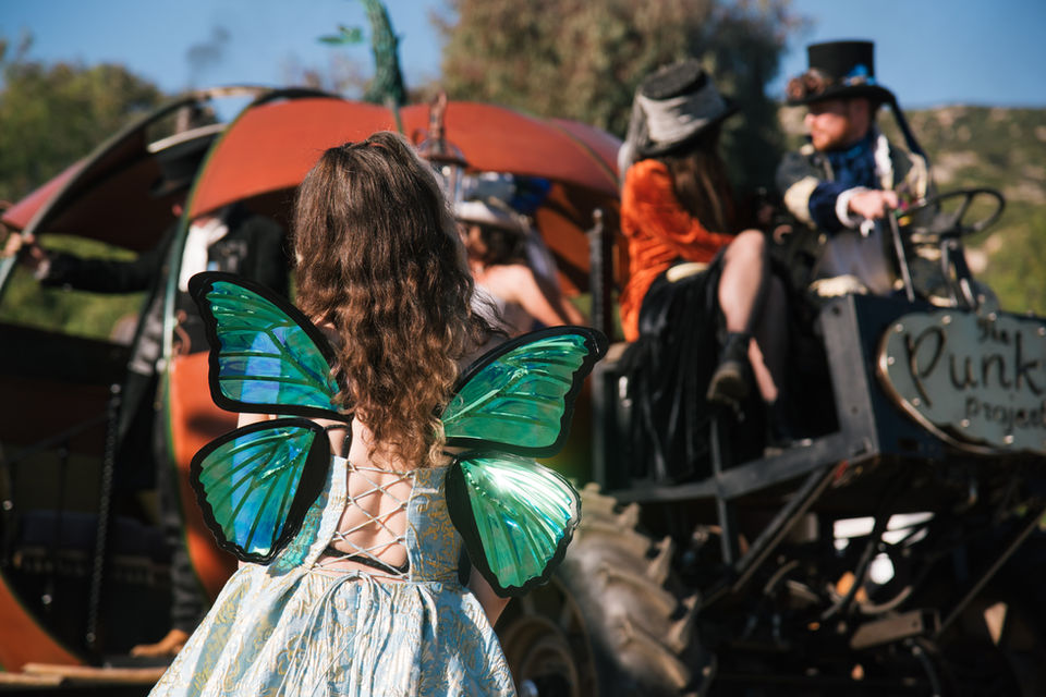 The Punkin Project - Scene